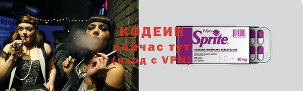 амф Горняк