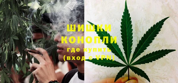 шишки Протвино