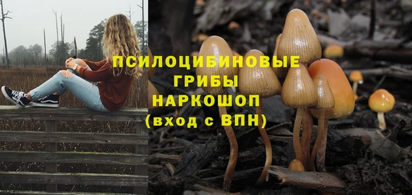 дурь Вязники