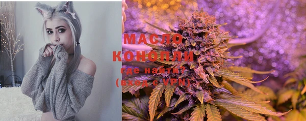 мяу мяу мука Горно-Алтайск