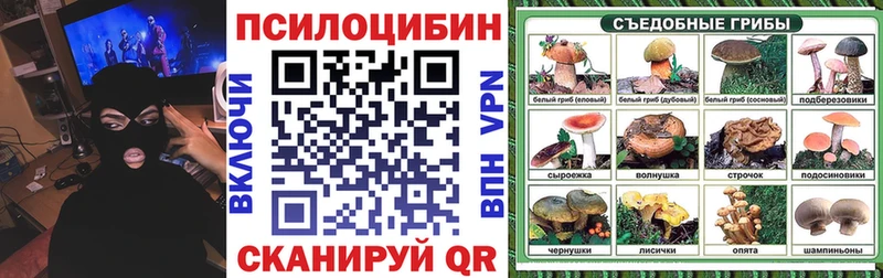 Галлюциногенные грибы Psilocybine cubensis  Купить  Сухиничи 